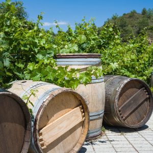 Chelan Winery