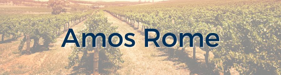 Amos Rome Vineyards