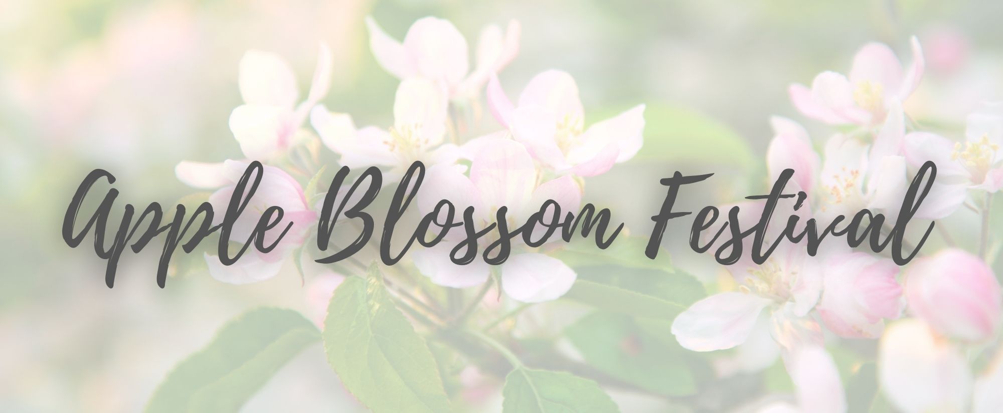 Apple Blossom Festival ⋆ Jennifer Roberts